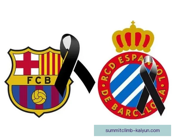 西班牙国家队队徽设计与历史演变解析